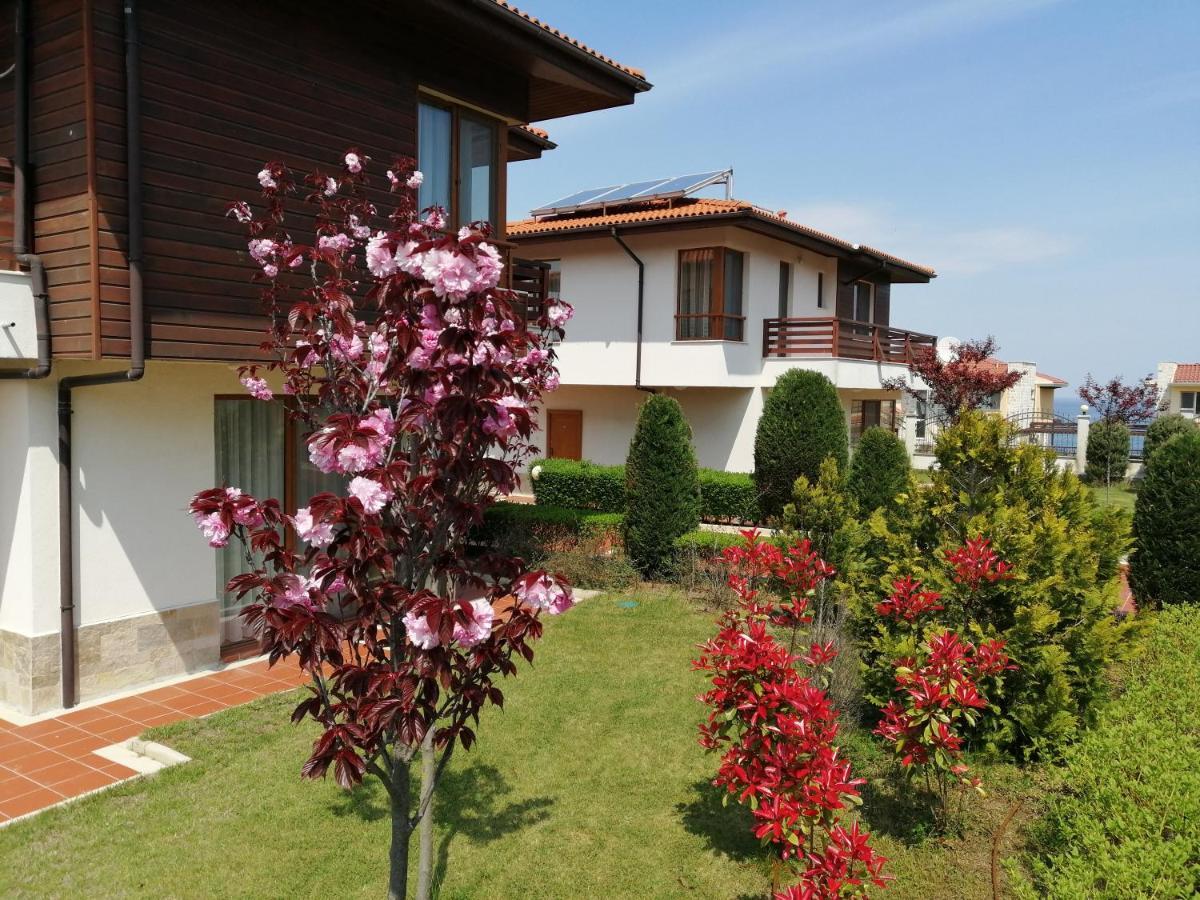 Villas In Complex Trakiyskiy Bryag 洛泽内茨 外观 照片